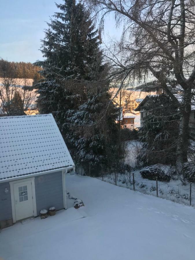 Haus Madita Breitnau Eksteriør bilde